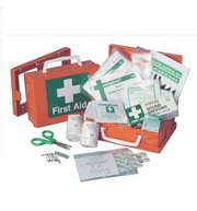 Carry a Vehicle Fist Aid Kit Small from SafetyDirect.ie